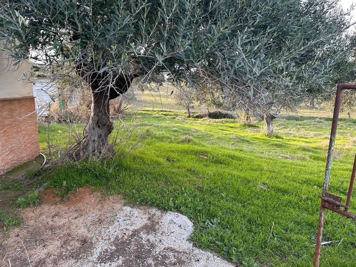 Jardín de Finca rústica en venta en Peñarroya-Pueblonuevo con Jardín privado, Trastero y Piscina