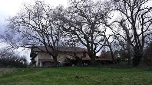 Vista exterior de Casa o chalet en venta en Lezama