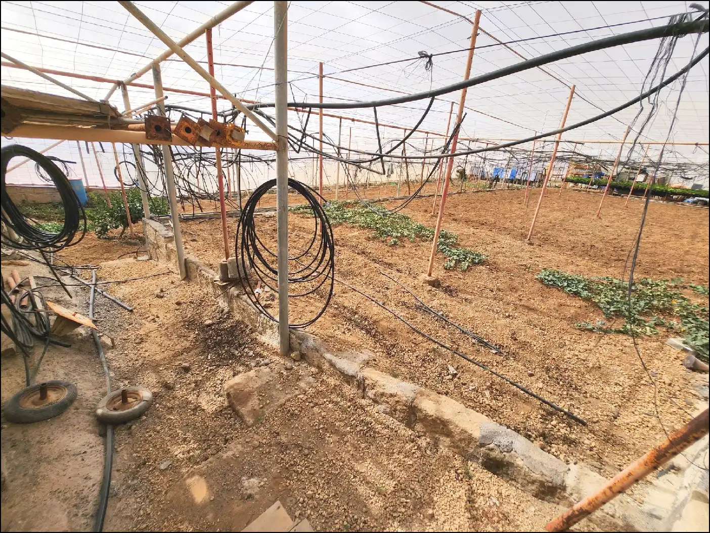 Jardí de Finca rústica en venda en Arico amb Terrassa i Moblat
