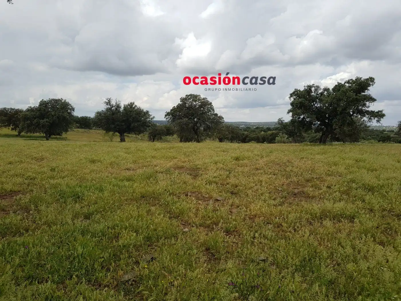 Finca rústica en venta en Torrecampo