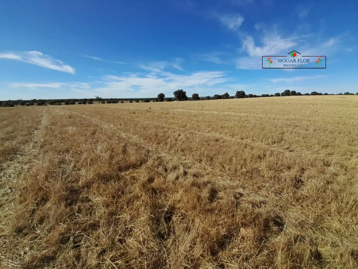 Finca rústica en venta en Carrascal del Obispo