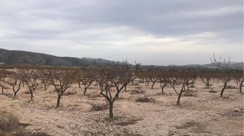 Finca rustica de regadío en venta en Sax, imatge 4