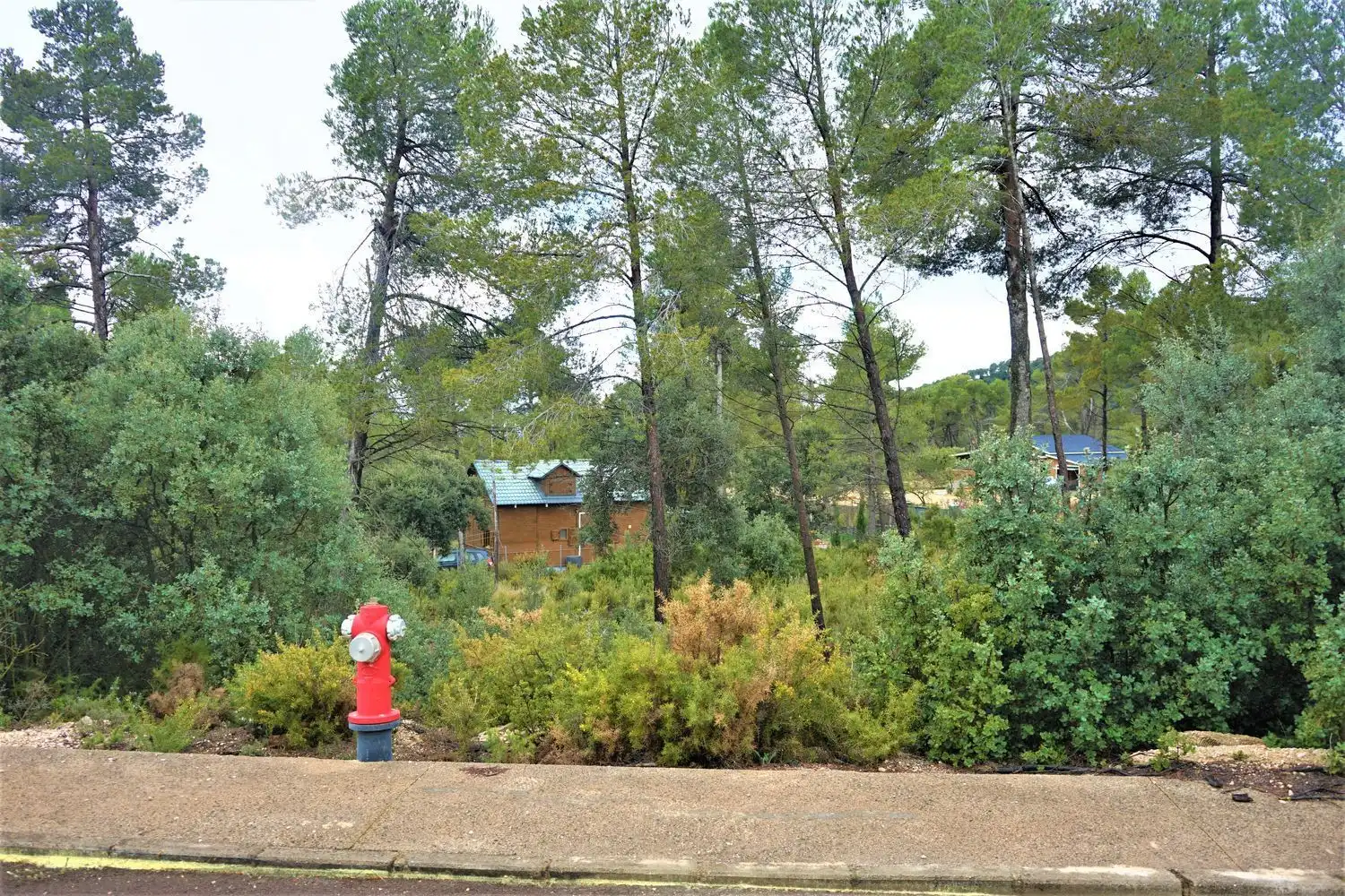 Terreno rústico en venta en Calleja Hontanar 78, imagen 9