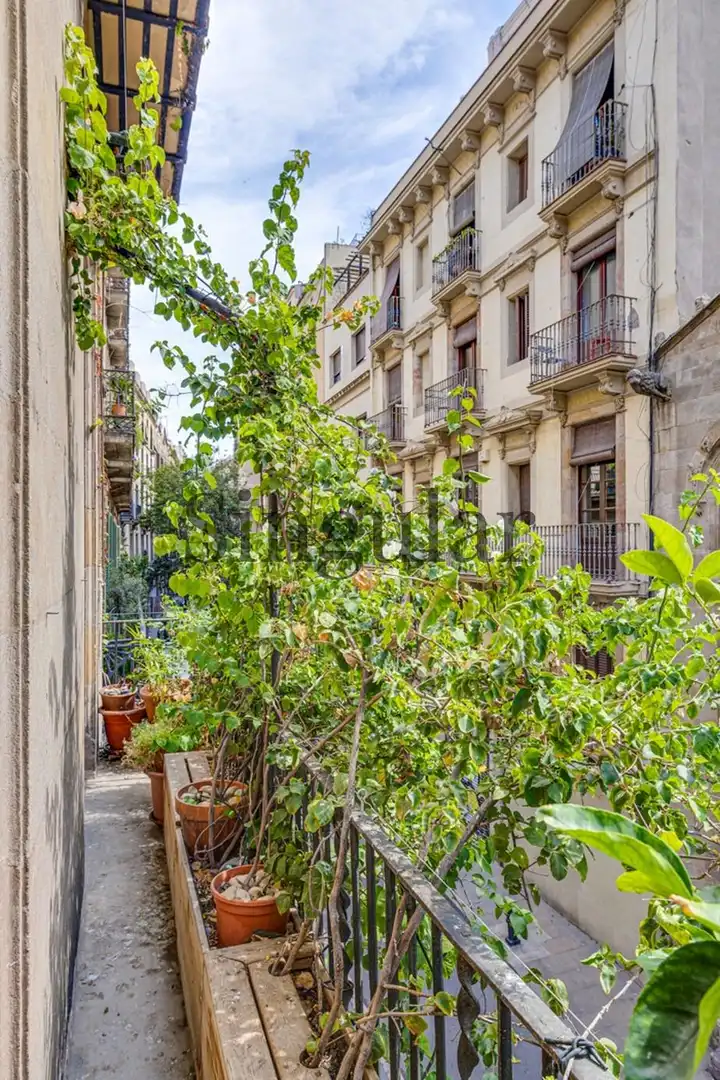 Piso con terraza en venta en Ciutat Vella, imagen 38