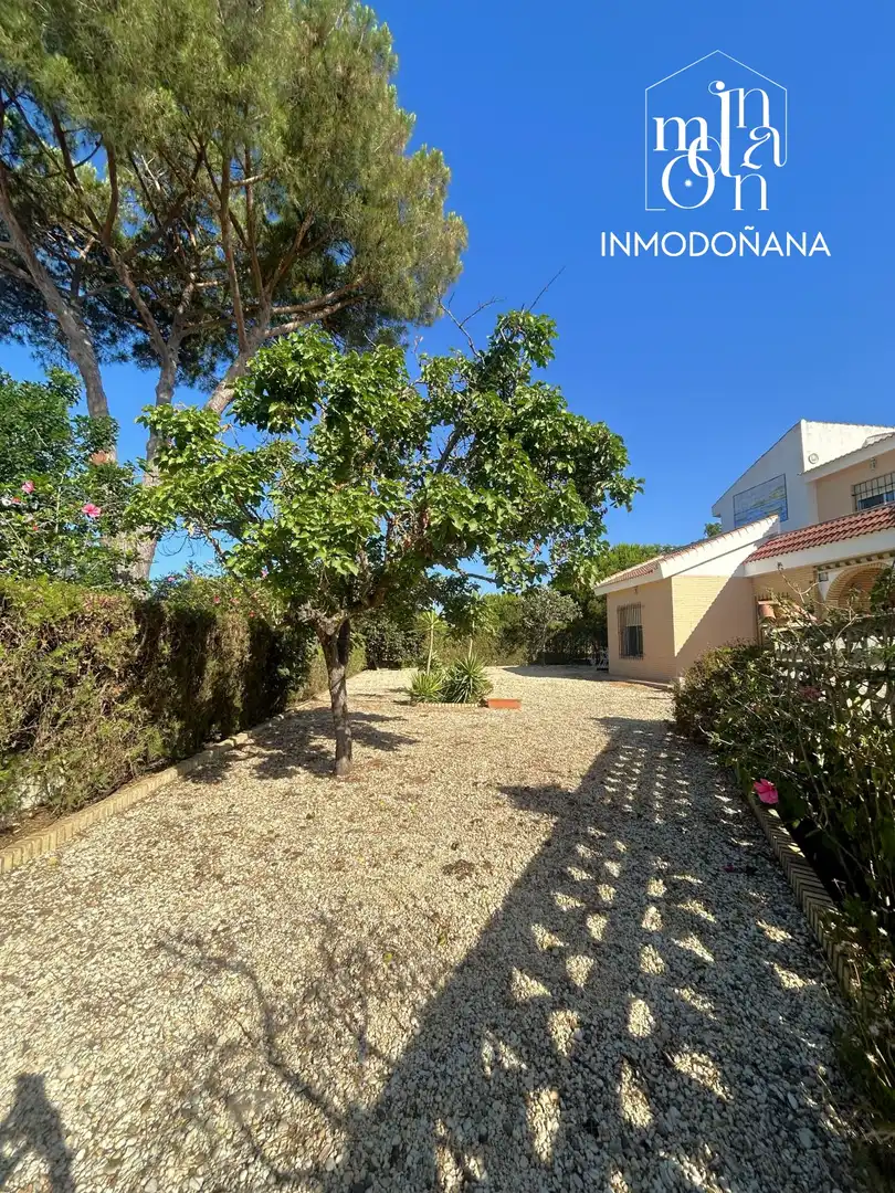 Vista exterior de Casa o xalet en venda en Almonte amb Jardí privat, Terrassa i Moblat