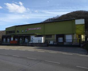 Vista exterior de Nau industrial en venda en Sant Joan Les Fonts