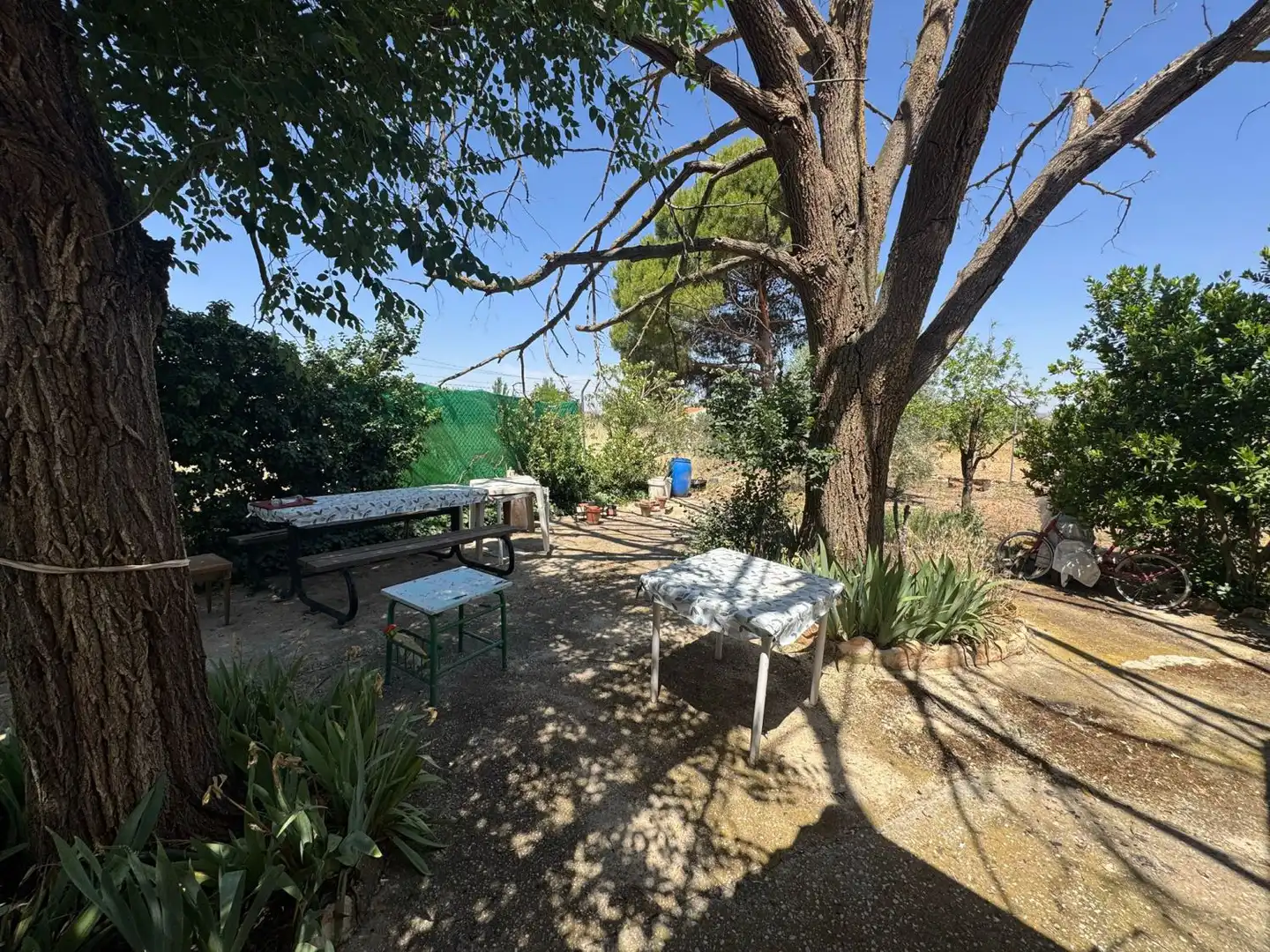 Jardín de Finca rústica en venta en Valdepeñas con Piscina