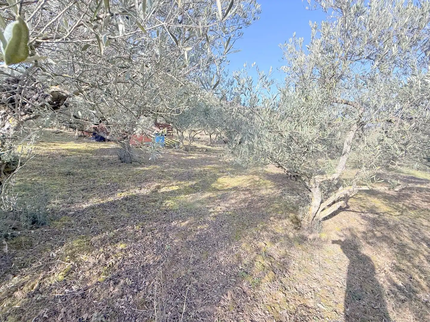 Terreno en venta en Cirauqui / Zirauki