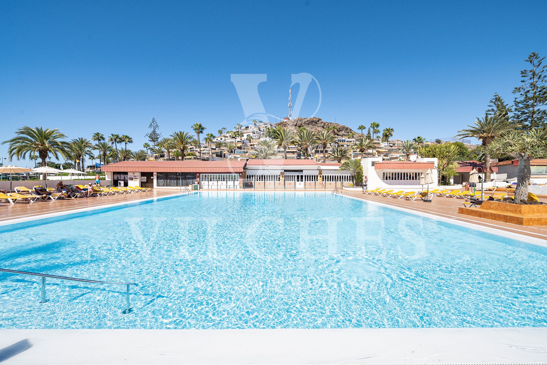 Swimming pool of Apartment to rent in San Bartolomé de Tirajana  with Air Conditioner, Parquet flooring and Terrace