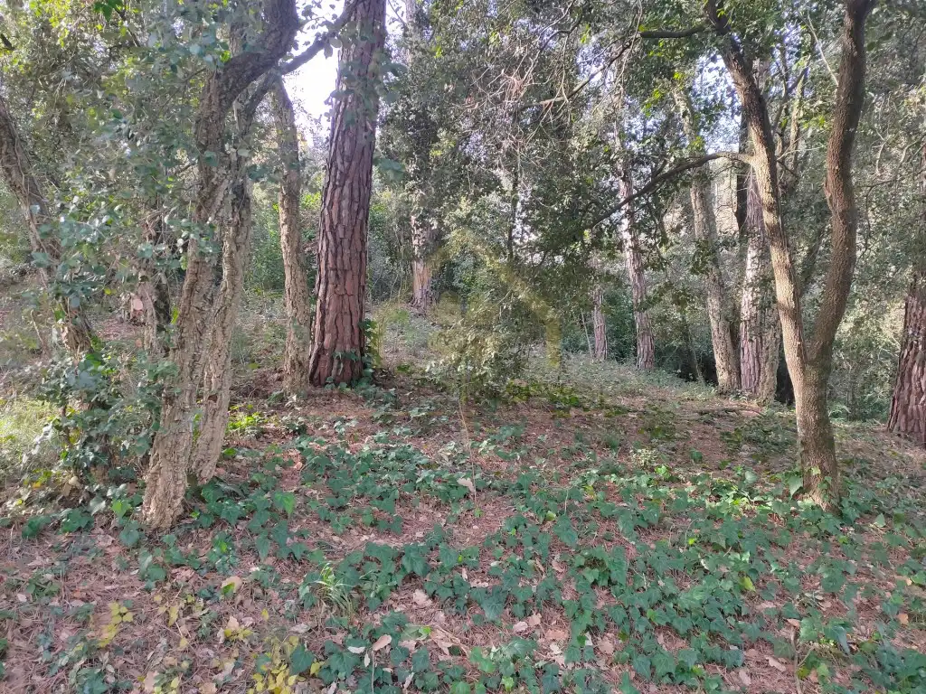 Residential for rent in Sant Pere de Vilamajor