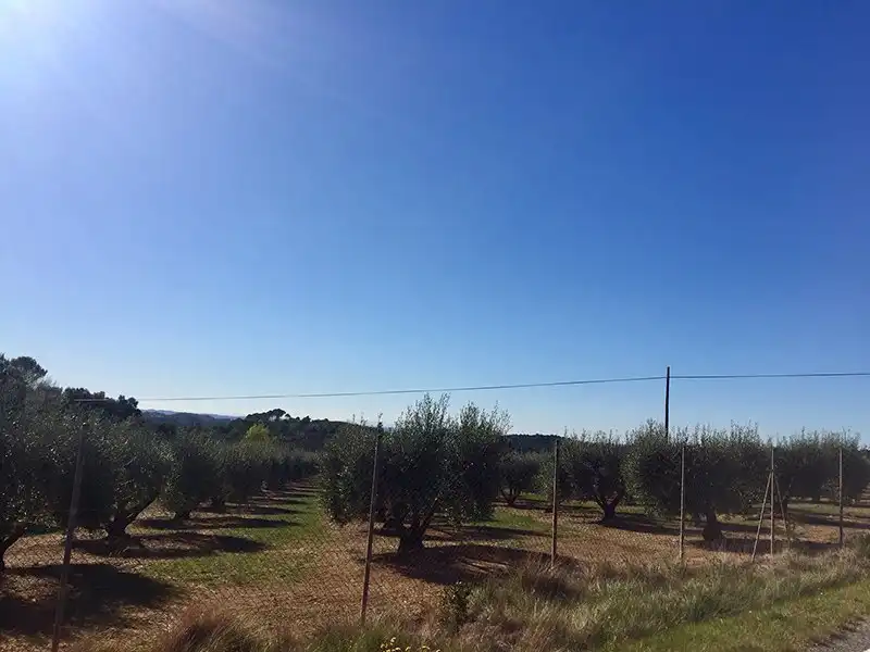 Country homes for sale in Cistella