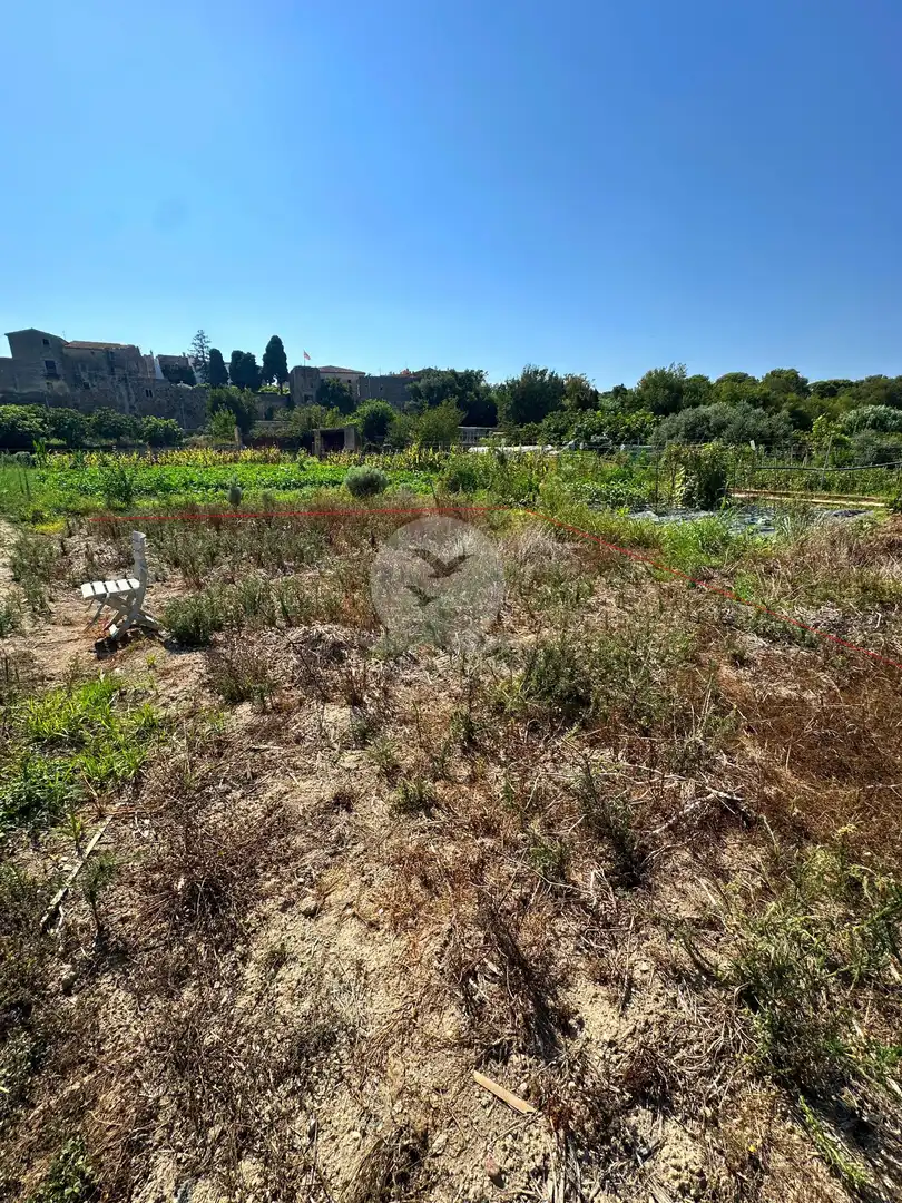 Terreno rustico in vendita a Castelló d'Empúries, imagen 2