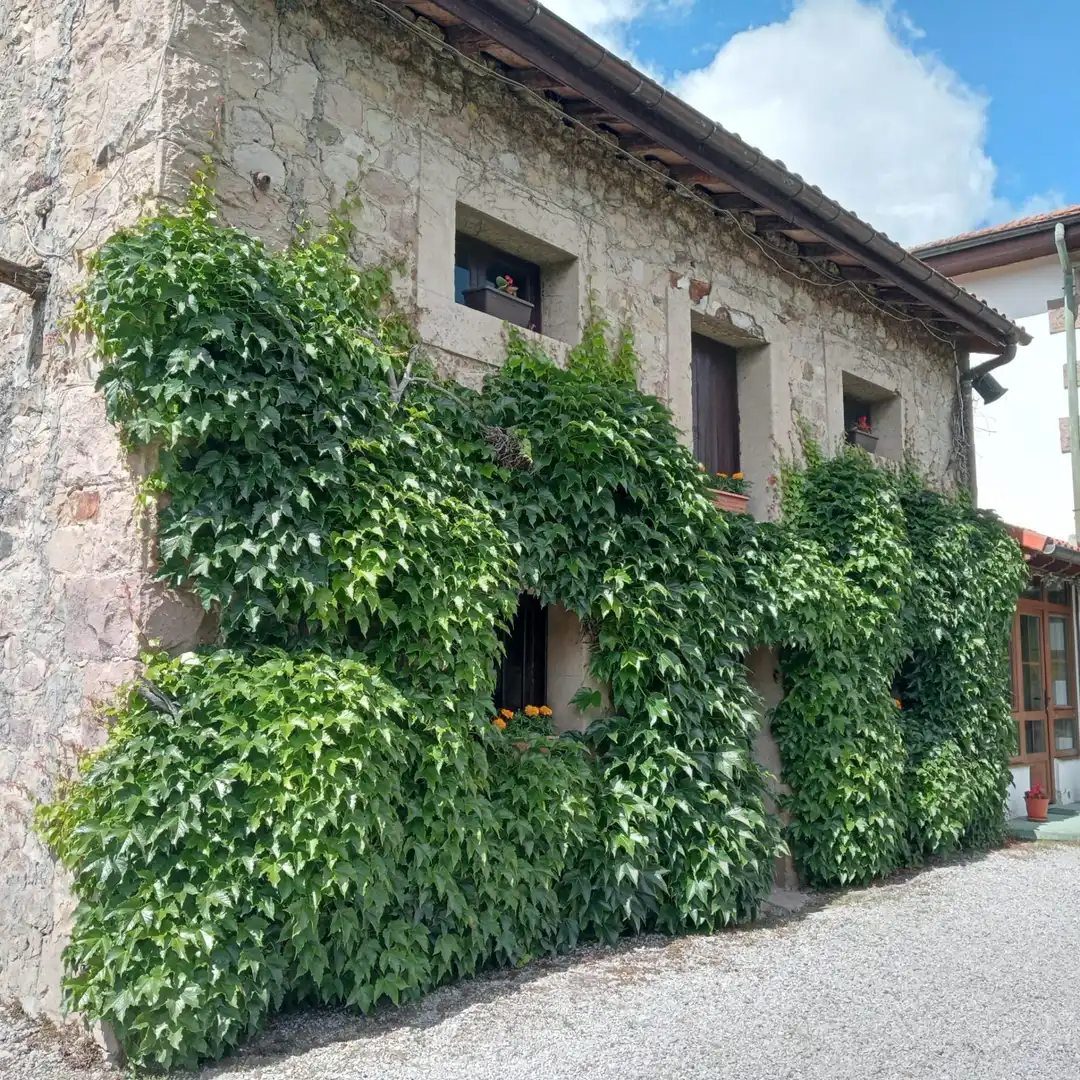 Haus mit Garten zum Verkauf in ARENAS-LA HERRAN, imagen 12