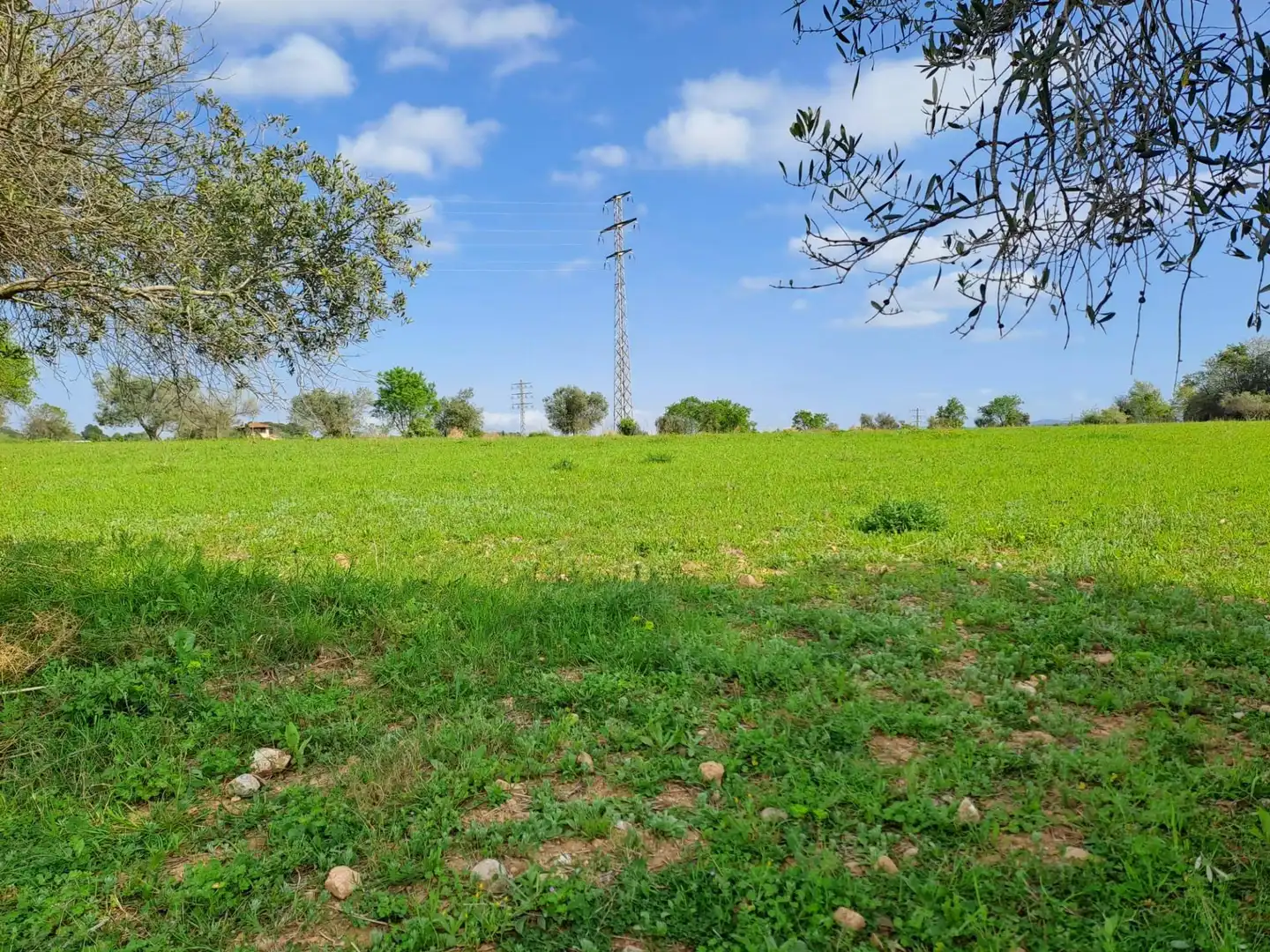 Land for sale in Terrassa