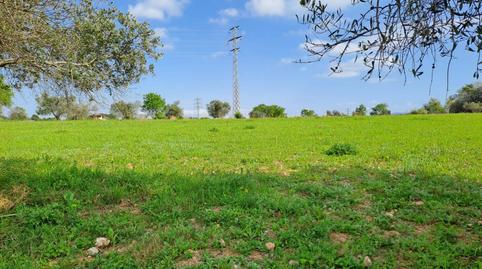 Photo 5 of Land for sale in Polígon Industrial Santa Margarida, Barcelona