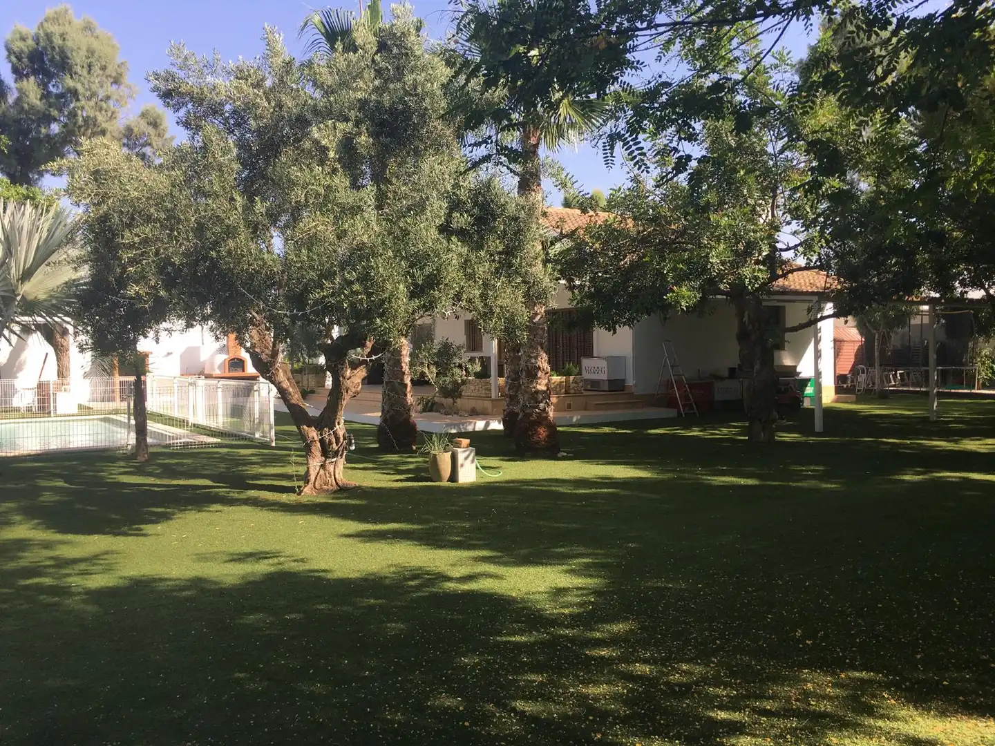 Garden of Country homes for rent in Torre-Pacheco  with Furnished