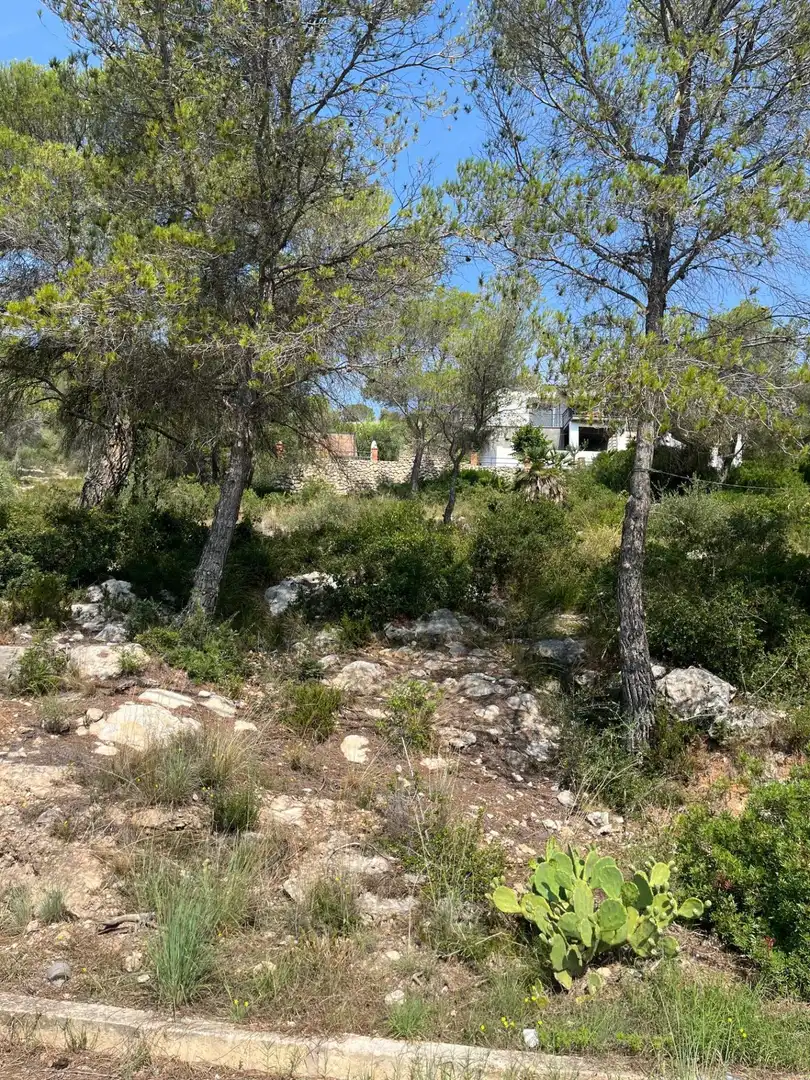 Terreny residencial en venda a Can Lloses - Can Marcer, imagen 3