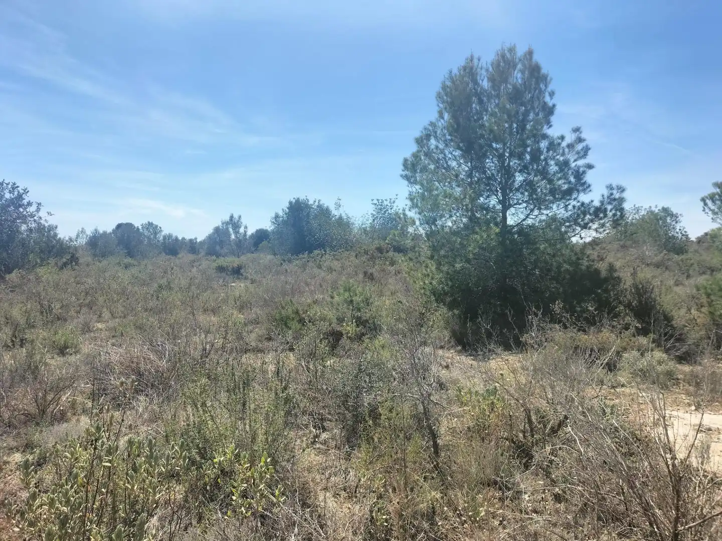 Terreno rustico in vendita a Navarrés, imagen 22
