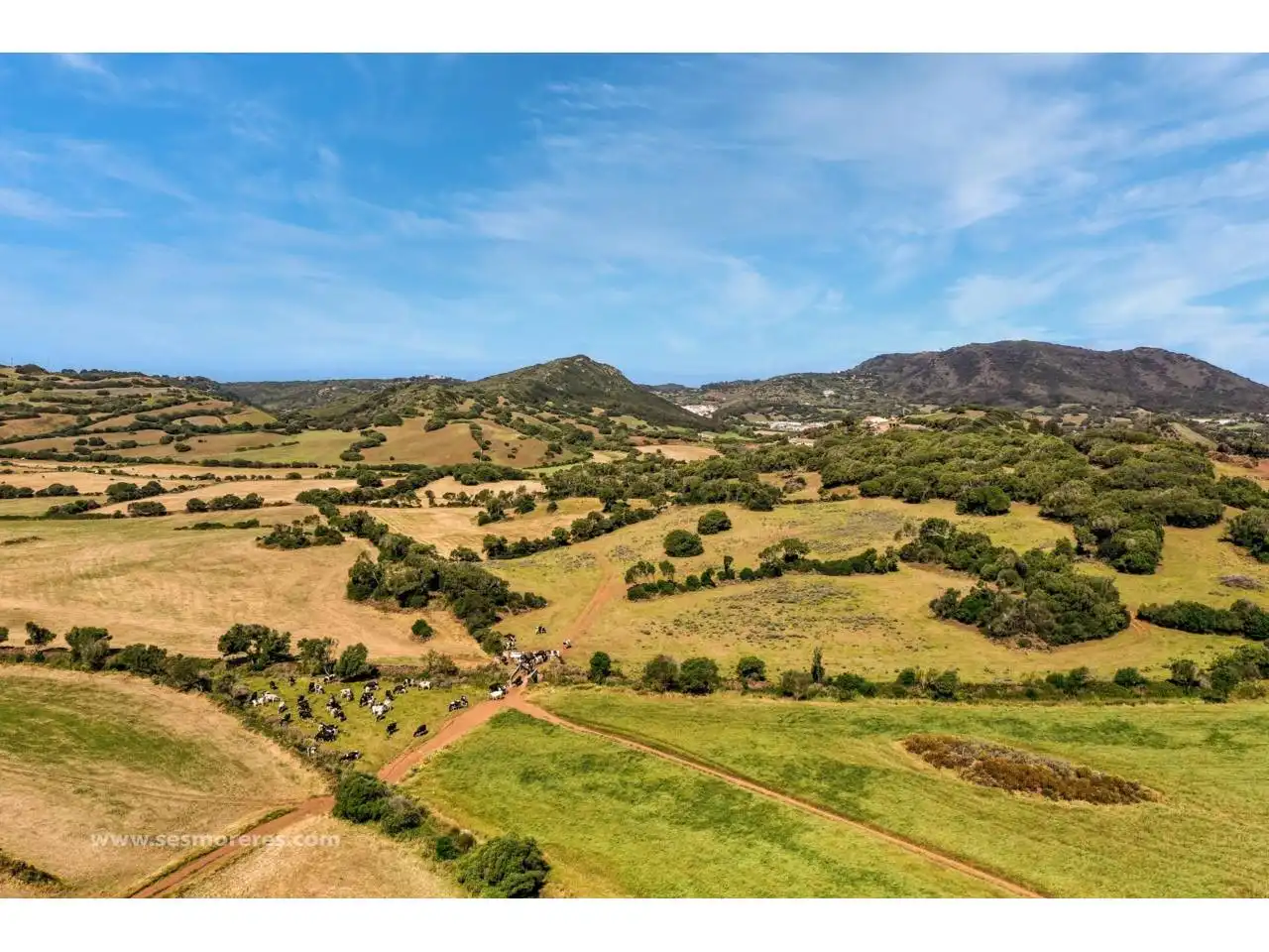 Rural land for sale in Ciutadella, imagen 12