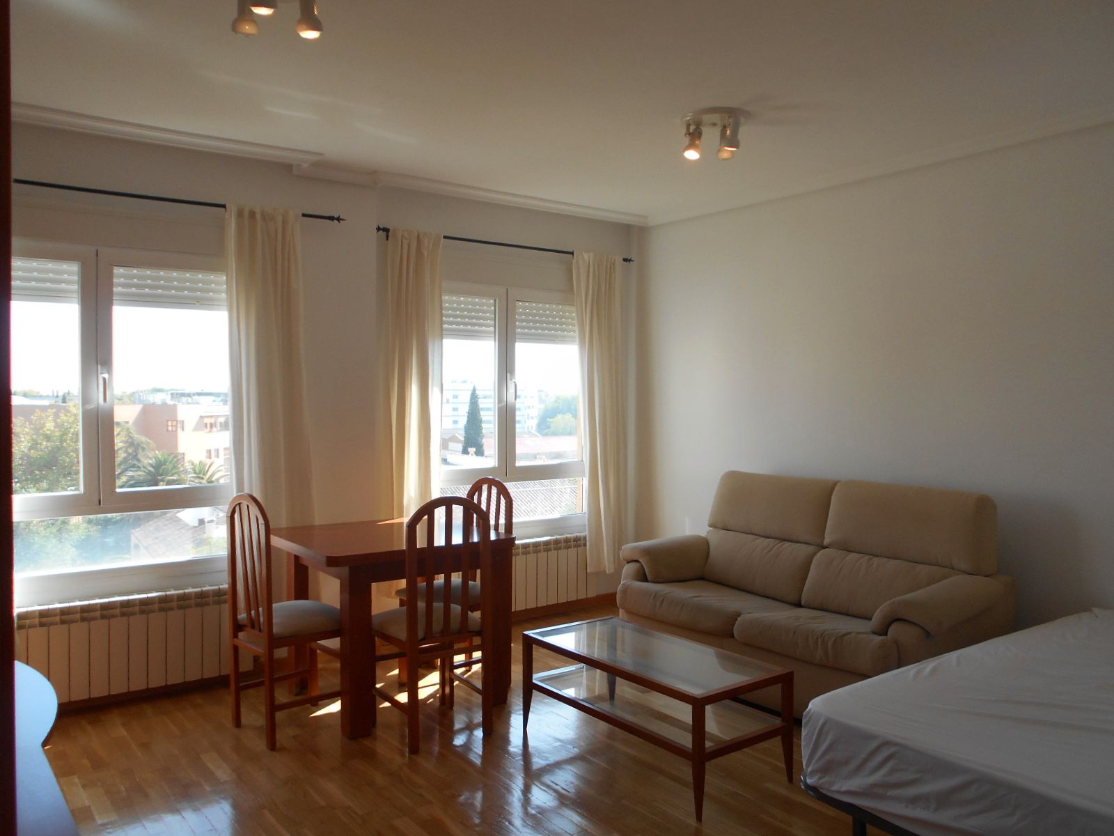 Sala d'estar de Estudi en venda en Ciudad Real Capital amb Calefacció, Parquet i Moblat