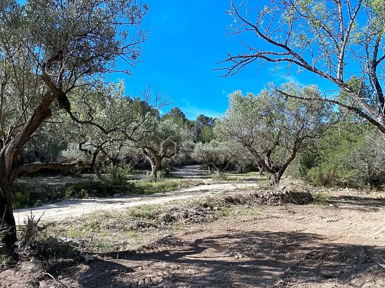 Terrain rustique à vendre à La Baixada, imagen 12
