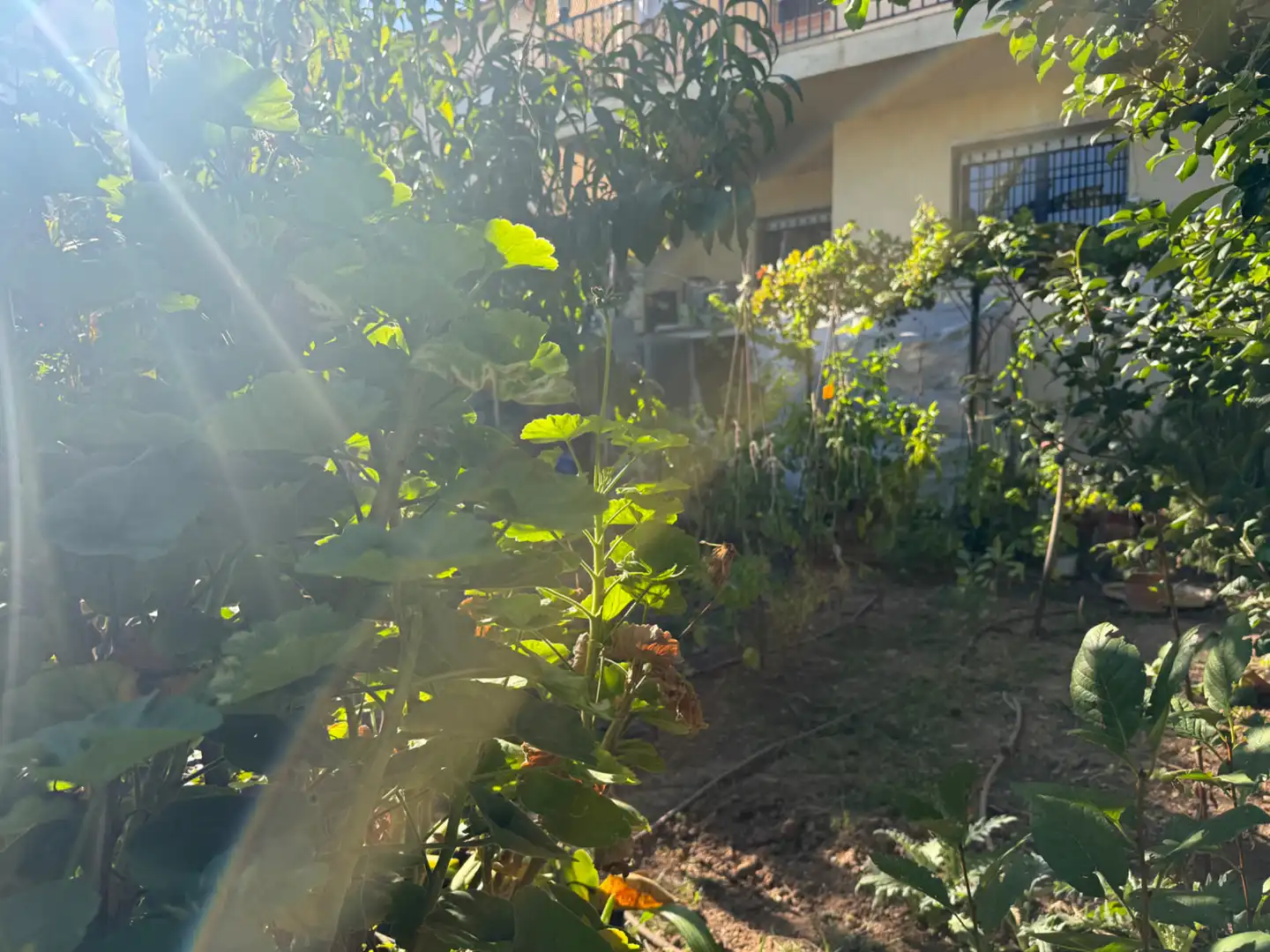 Maison mitoyenne avec terrasse à vendre à Avinguda de l'Oceà Atlàntic 32, imagen 19