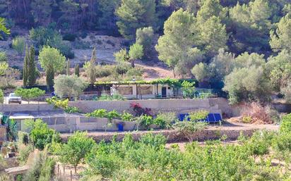 Garden of Country house for sale in Calvià  with Terrace