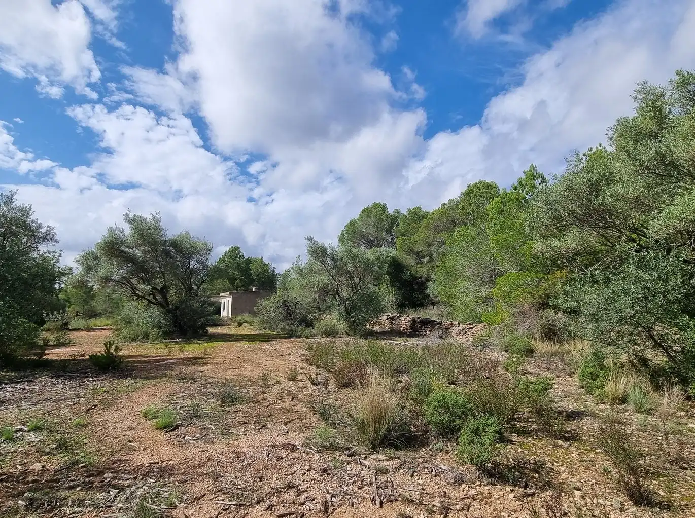 Terrain rustique à vendre à Carrer Andreu Llambrich 48, imagen 10