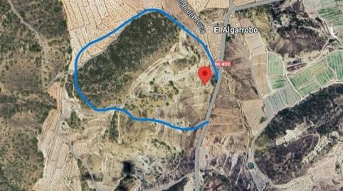 SE VENDE FINCA RUSTICA SECANO EN EL ALGARROBO ABANILLA, immagine 3