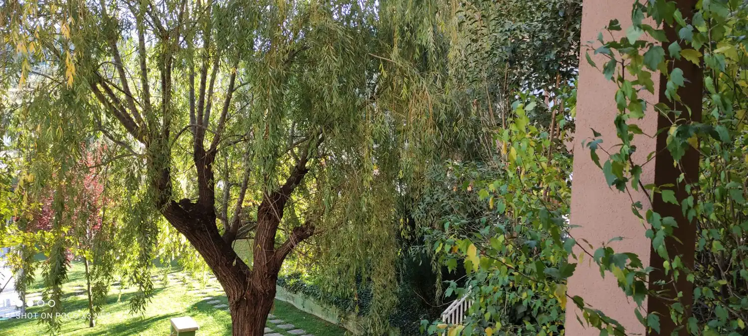 Jardín de Piso en venta en Los Villares con Aire acondicionado y Terraza