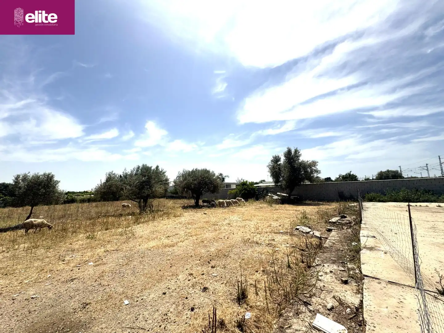 Residential for sale in Pozoalbero