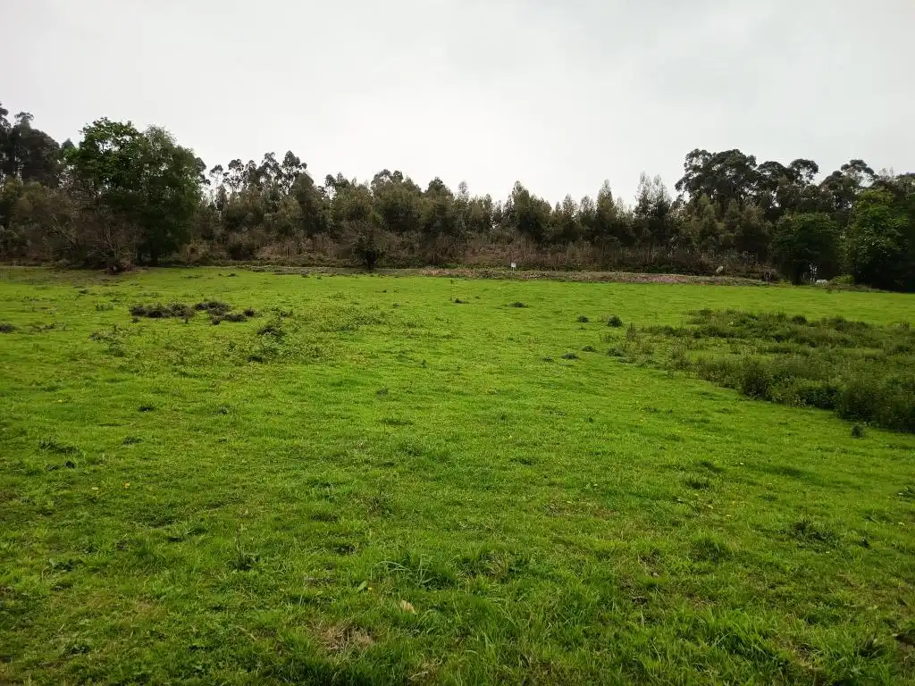 Grundstücke und Bauplätze zum Verkauf in Lugar Laguna, imagen 13