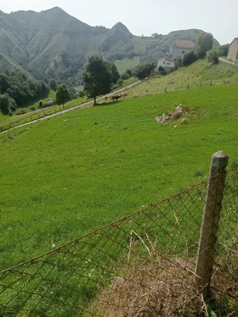 Grundstücke und Bauplätze zum Verkauf in Cangas de Onís, imagen 4