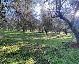 Finca rústica en venda en  Córdoba Capital amb Aire condicionat, Calefacció i Jardí privat