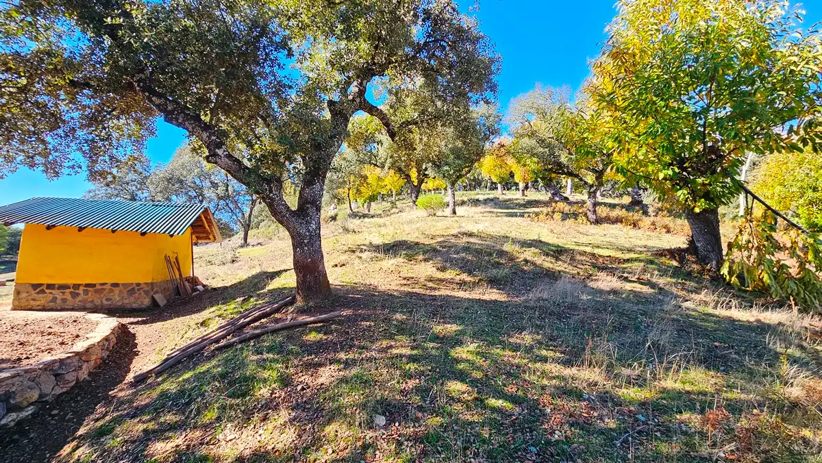 Casa o chalet en venta en Cortelazor con Jardín privado, Terraza y Trastero
