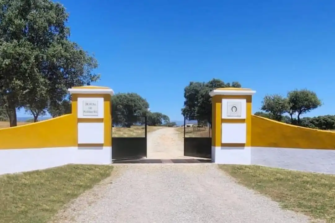 Terreno en venta en Casco Antiguo