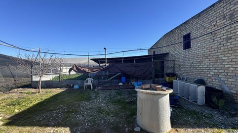 Foto 3 de Terreno en venta en Los Palacios y Villafranca, Sevilla