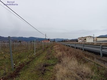 Terreno rústico en venta en Calle Carretera de Logroño