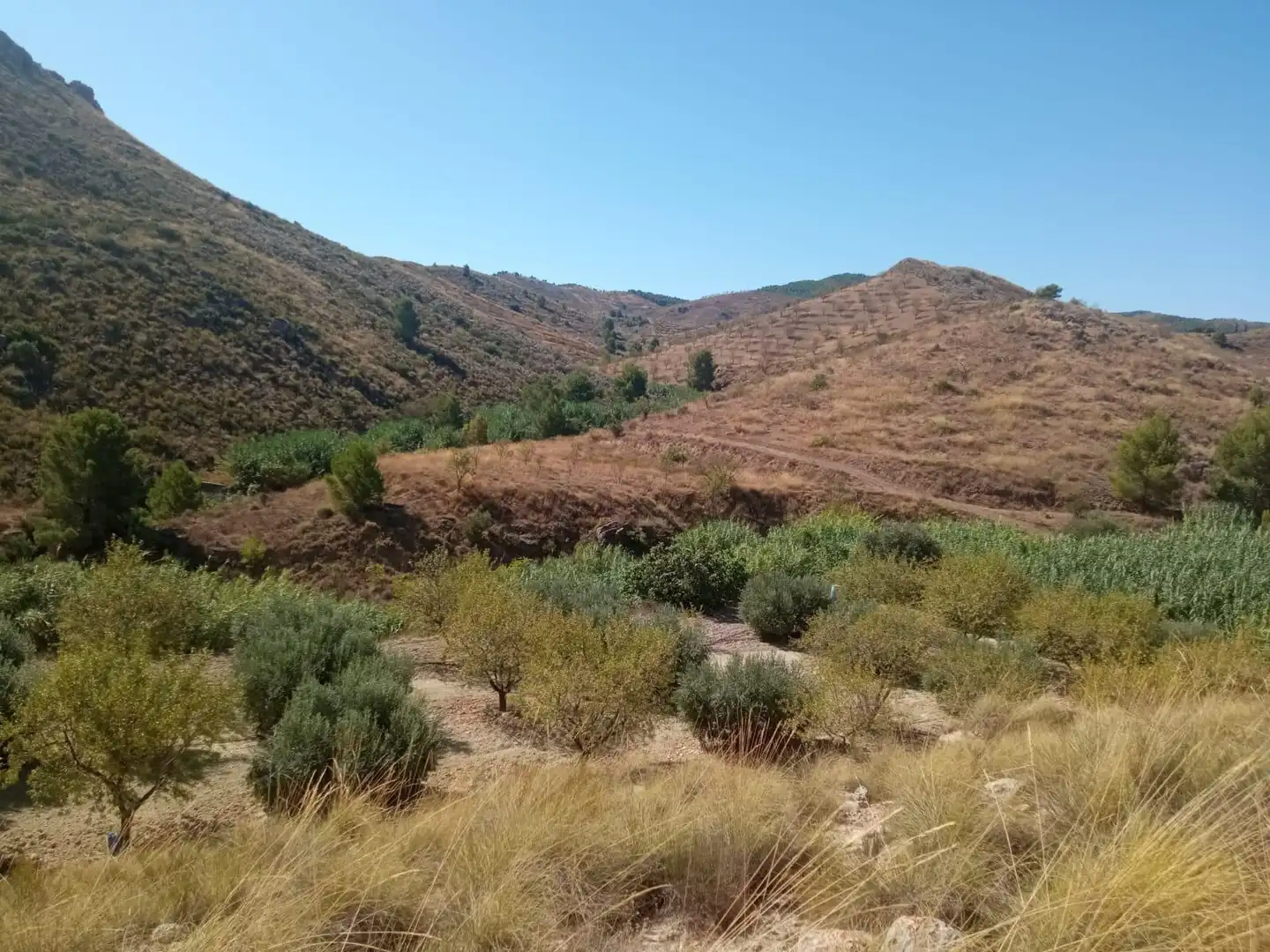 Terrains et parcelles à vendre à Pedanías Norte, imagen 25