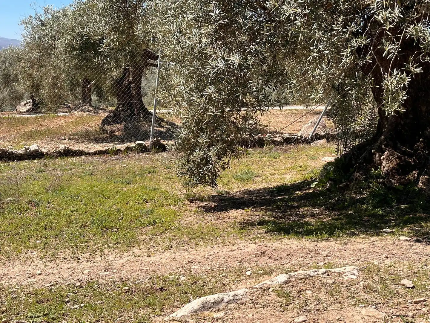 Rustikales Grundstück zum Verkauf in Íllora, imagen 11