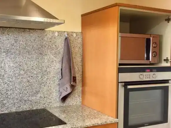 Küche von Wohnung zur Miete in Aisa mit Parkett, Abstellraum und Möbliert