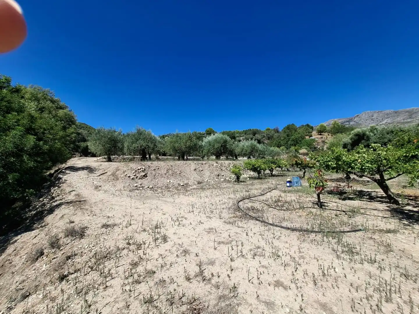 Grundstücke zum Verkauf in Beniardà