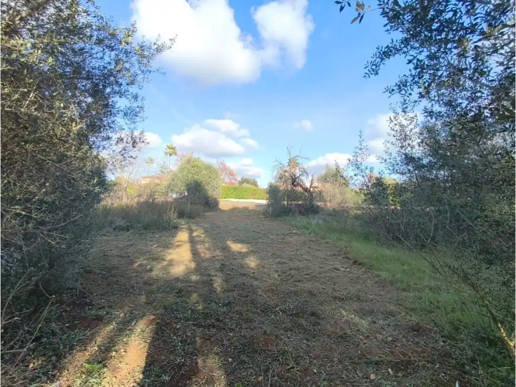 Country homes for sale in Poligono 2 Paraje 141 Sencelles, Zona Periurbana