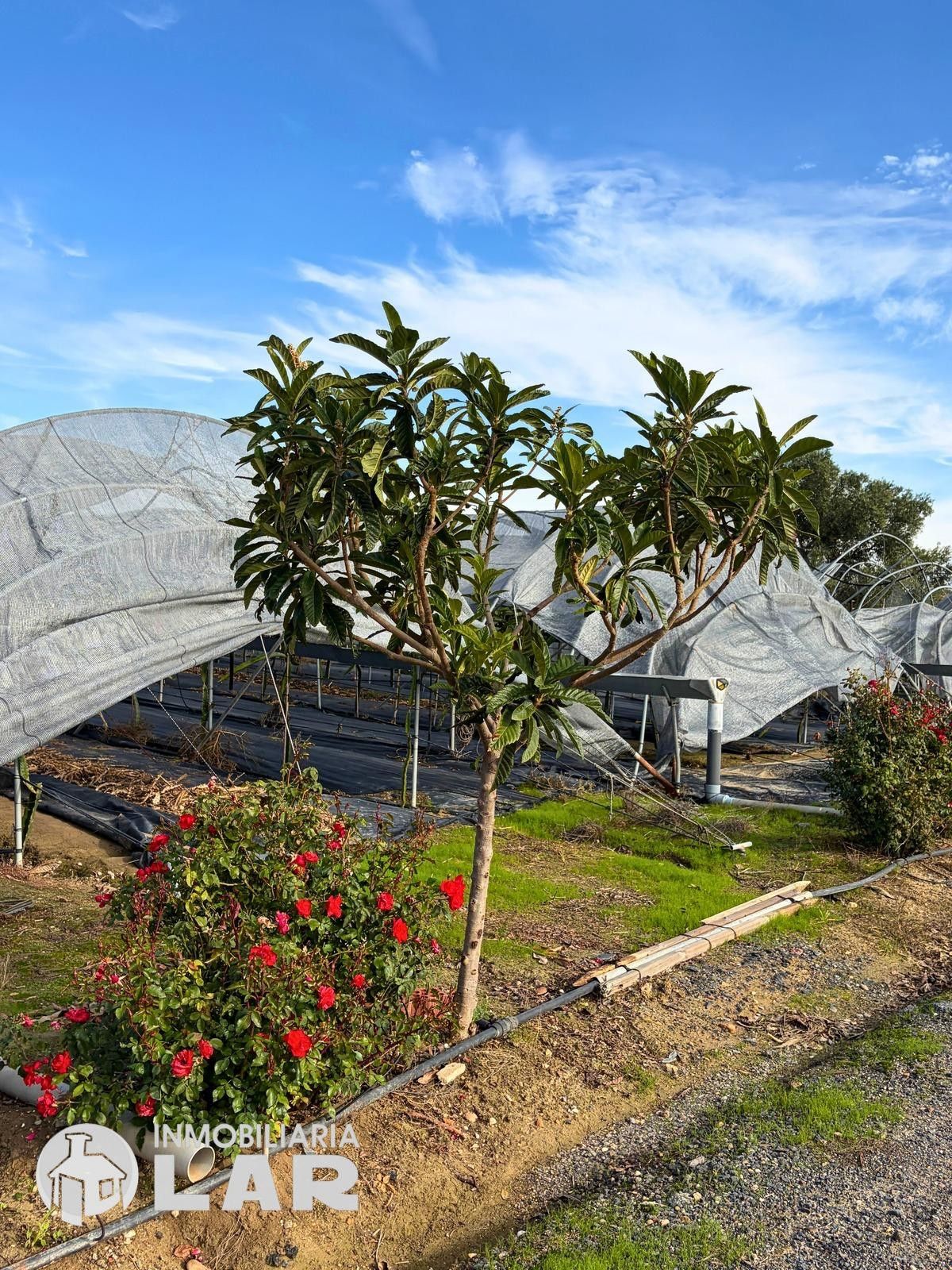 Residencial en venda a San Juan del Puerto
