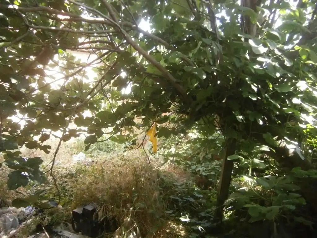 Jardí de Casa o xalet en venda en Negrilla de Palencia