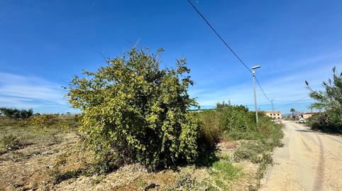 Foto 5 de Finca rústica en venda a Vereda de Tabala, Alquerías, Murcia