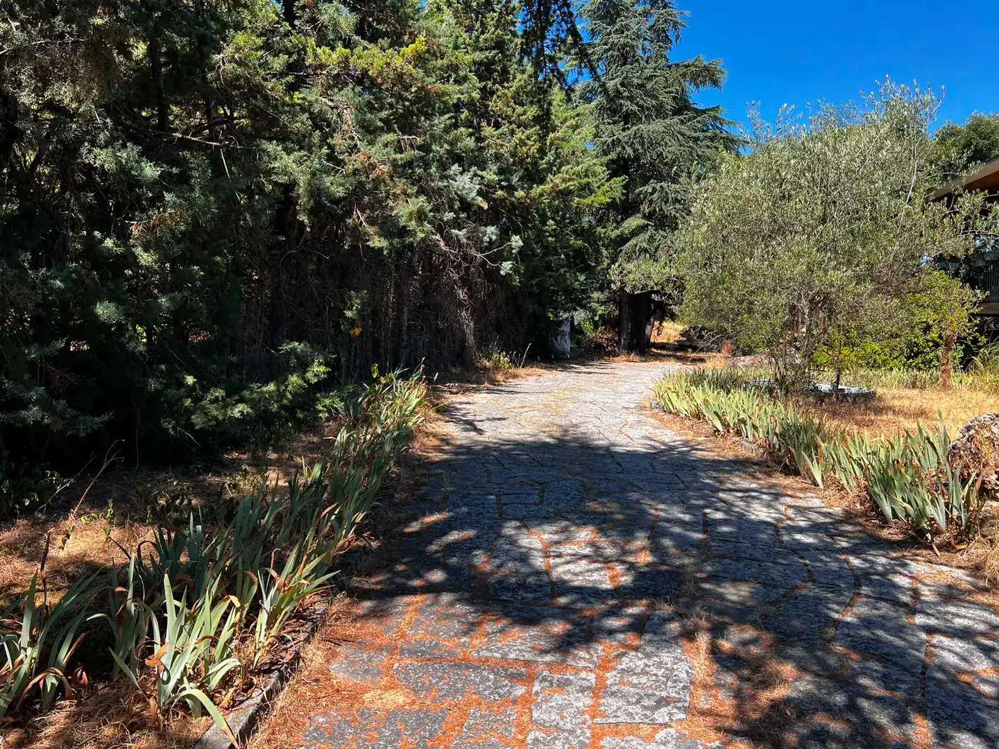 Wohnbaugrundstück zum Verkauf in Casa Amarilla, imagen 18