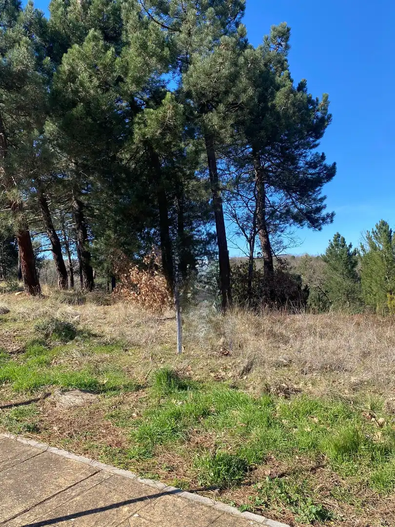 Wohnbaugrundstück zum Verkauf in Sojuela, imagen 3