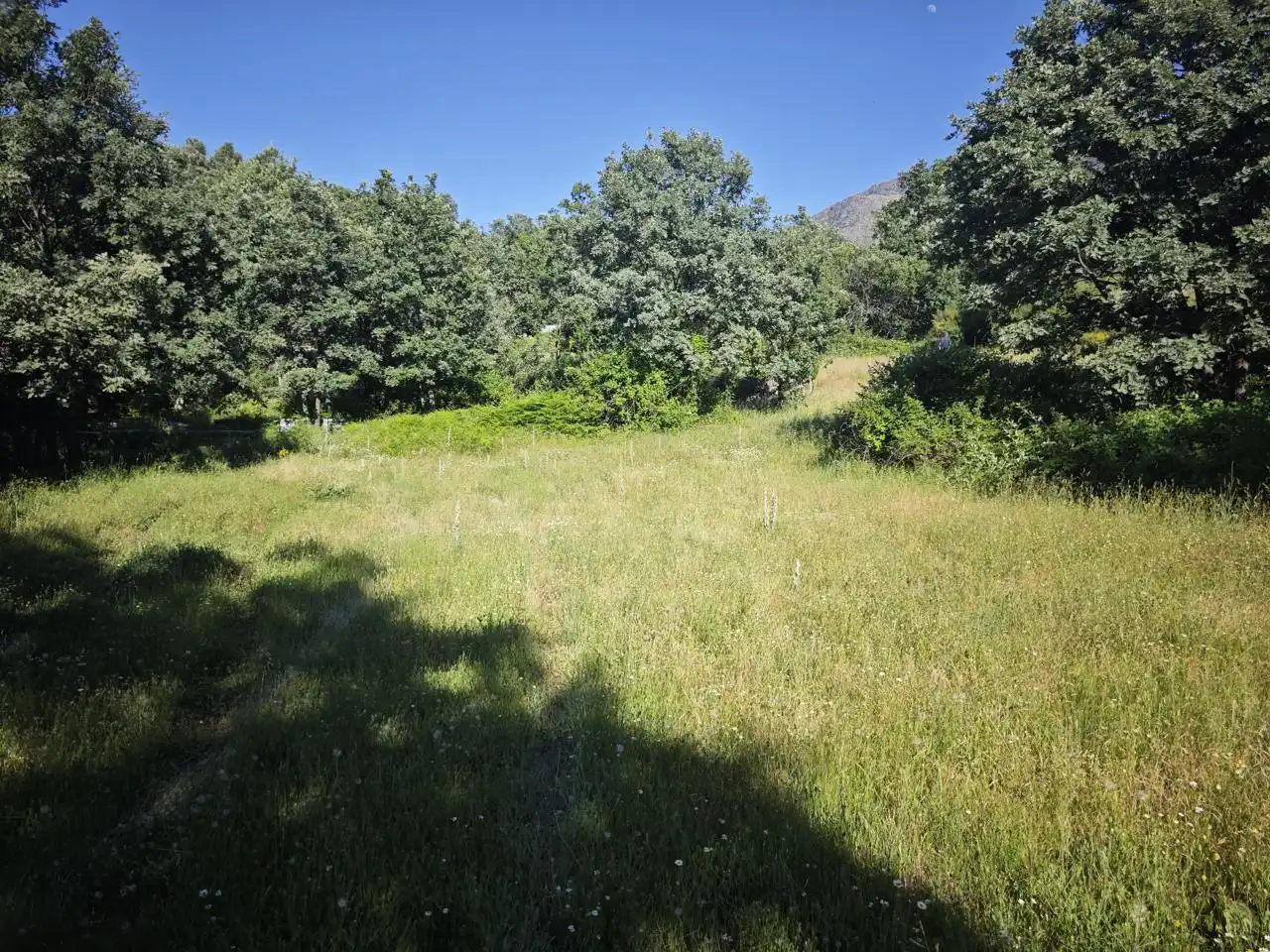 Terreni e lotti in vendita a Polígono 6 Parcela 67 CABEZO. HERVAS (CÁCERES), imagen 7