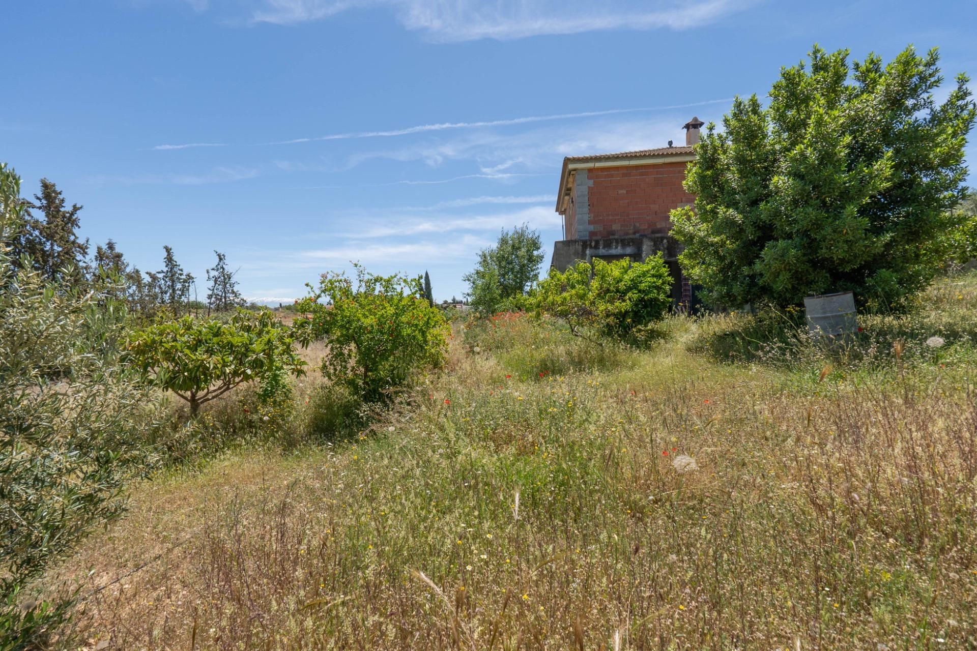 House or chalet for sale in Moraleda de Zafayona  with Private garden